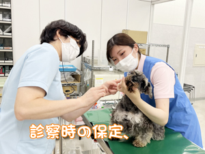 モデル犬の健康を守ります！